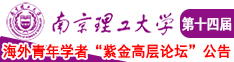 鸡巴操逼淫荡南京理工大学第十四届海外青年学者紫金论坛诚邀海内外英才！